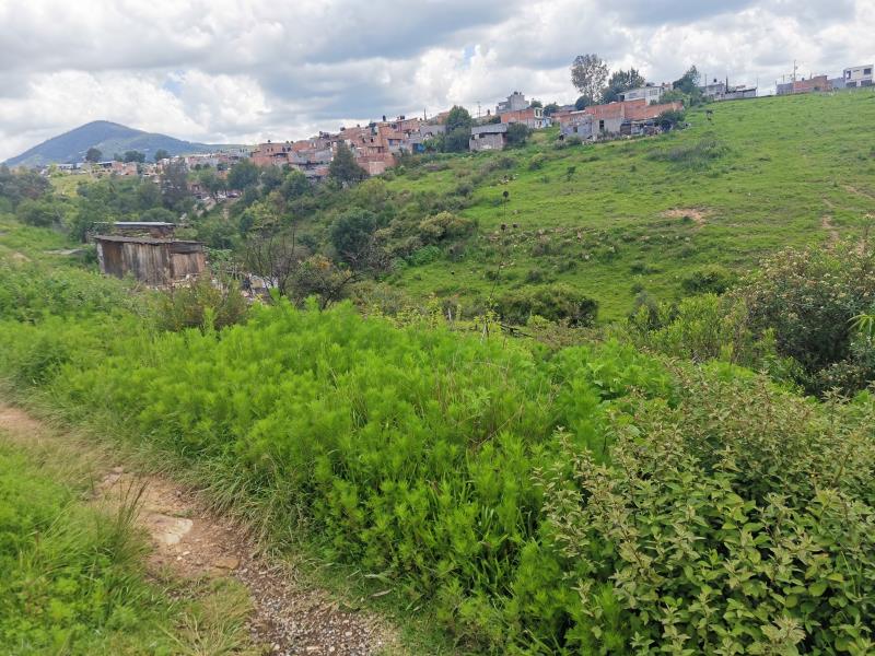 Terreno en venta en Los Encinos
