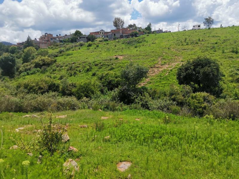 Terreno en venta en Los Encinos