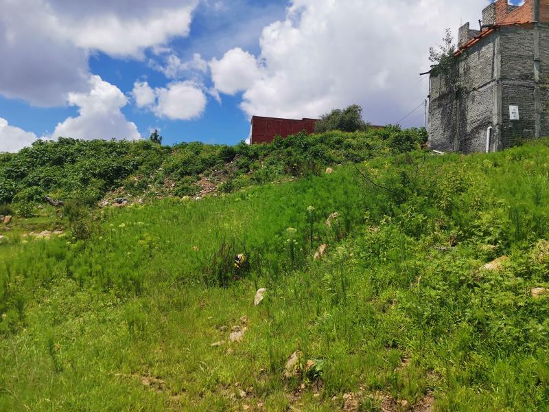 Terreno en venta en Los Encinos