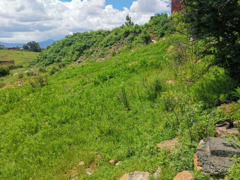 Terreno en venta en Los Encinos