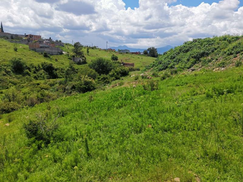 Terreno en venta en Los Encinos