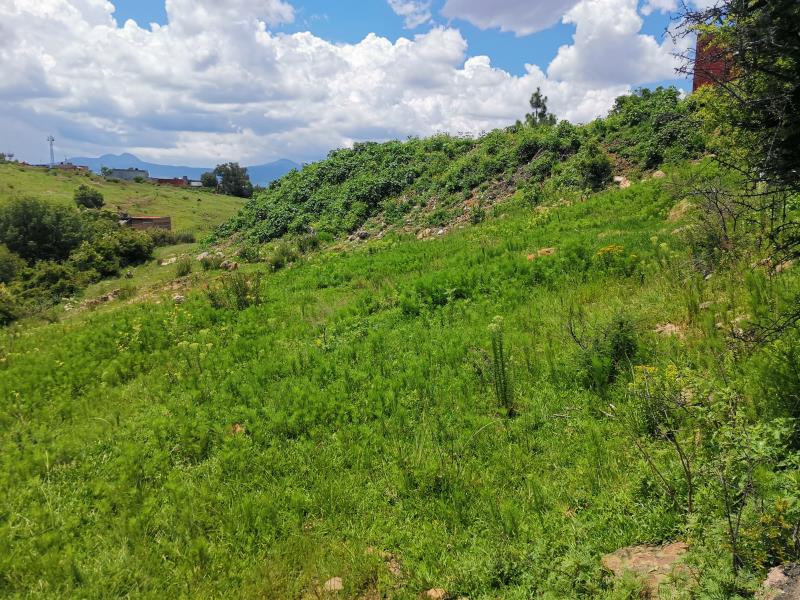 Terreno en venta en Los Encinos