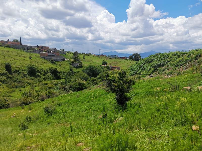 Terreno en venta en Los Encinos
