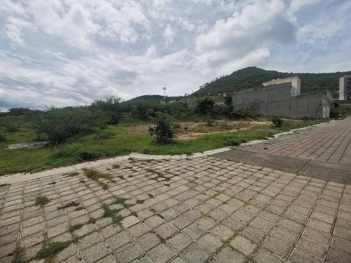 Terreno en Venta en Fracc. México