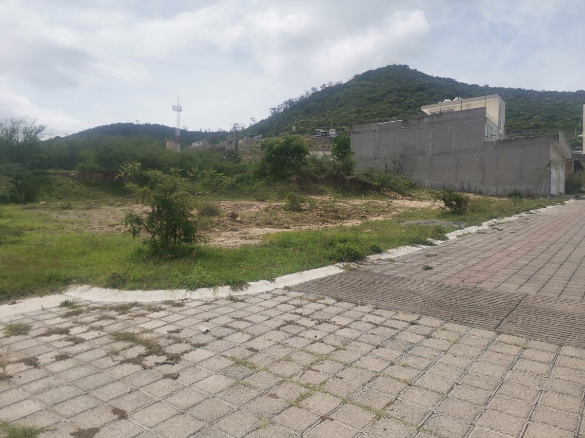 Terreno en Venta en Fracc. México
