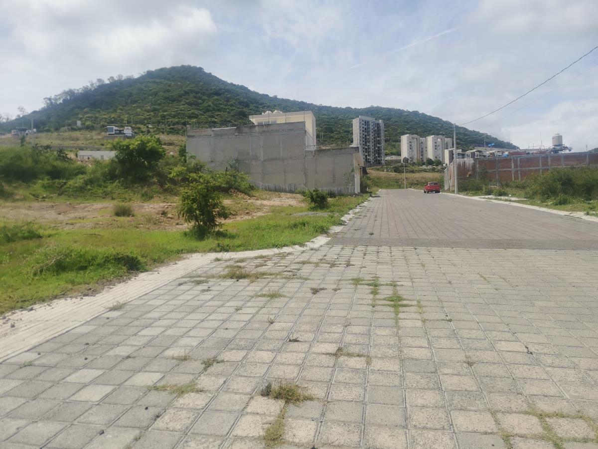 Terreno en Venta en Fracc. México