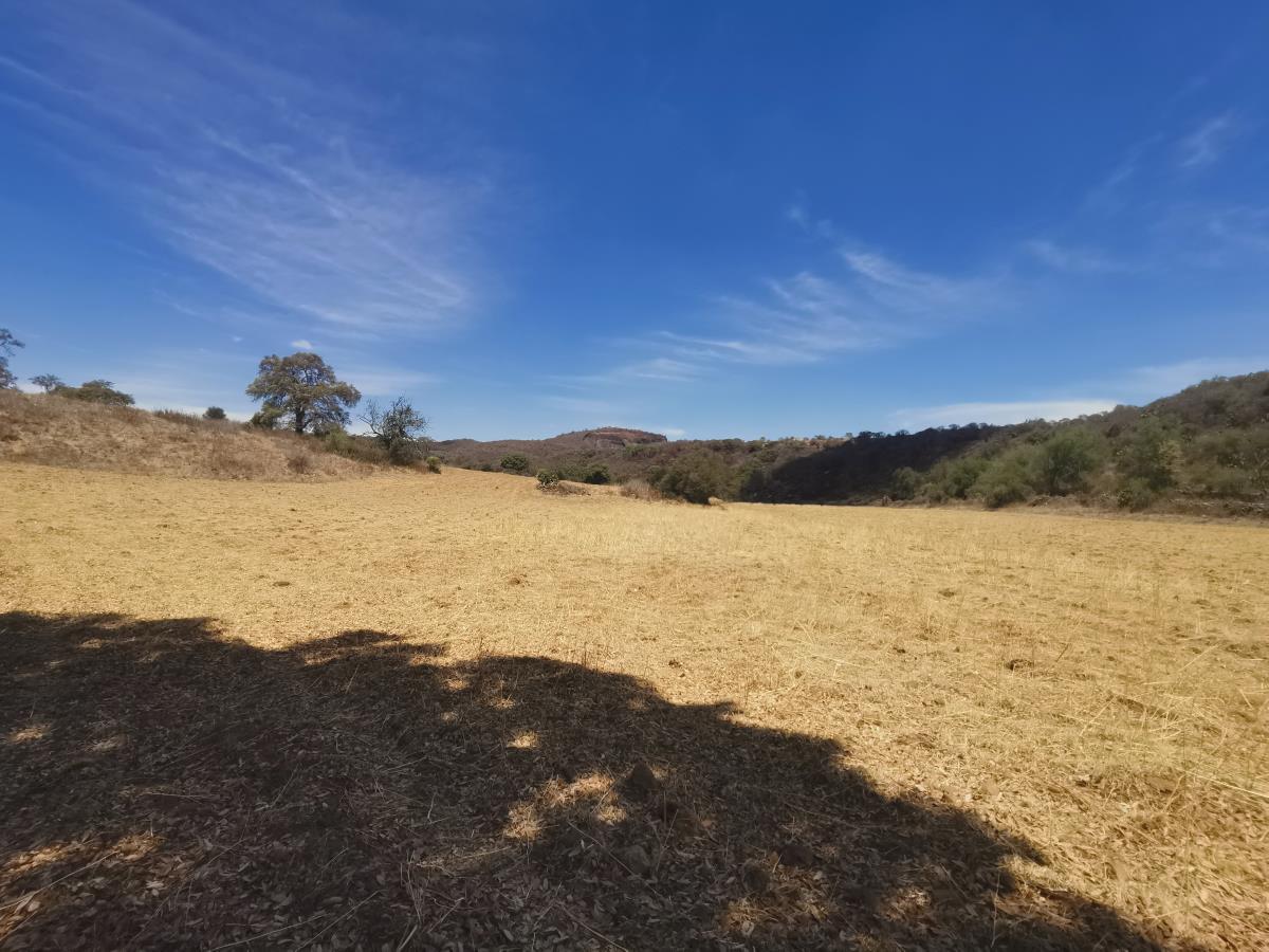 Terreno en Venta en Cuto de la Esperanza