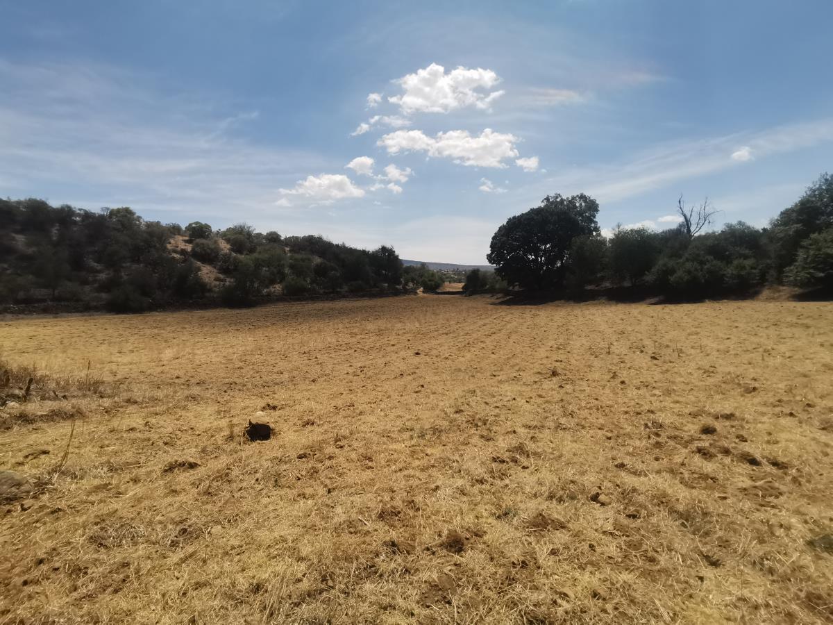 Terreno en Venta en Cuto de la Esperanza