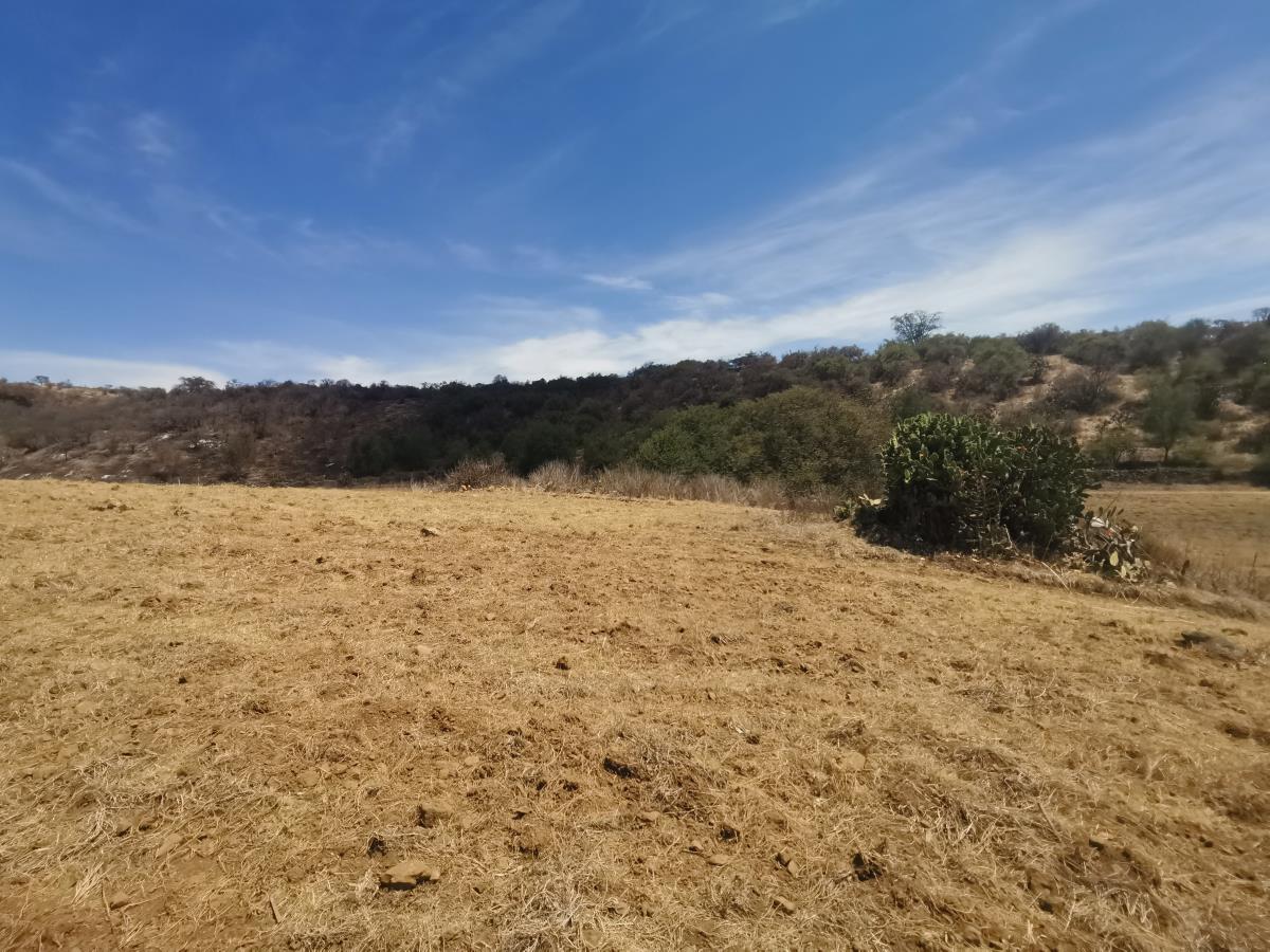 Terreno en Venta en Cuto de la Esperanza