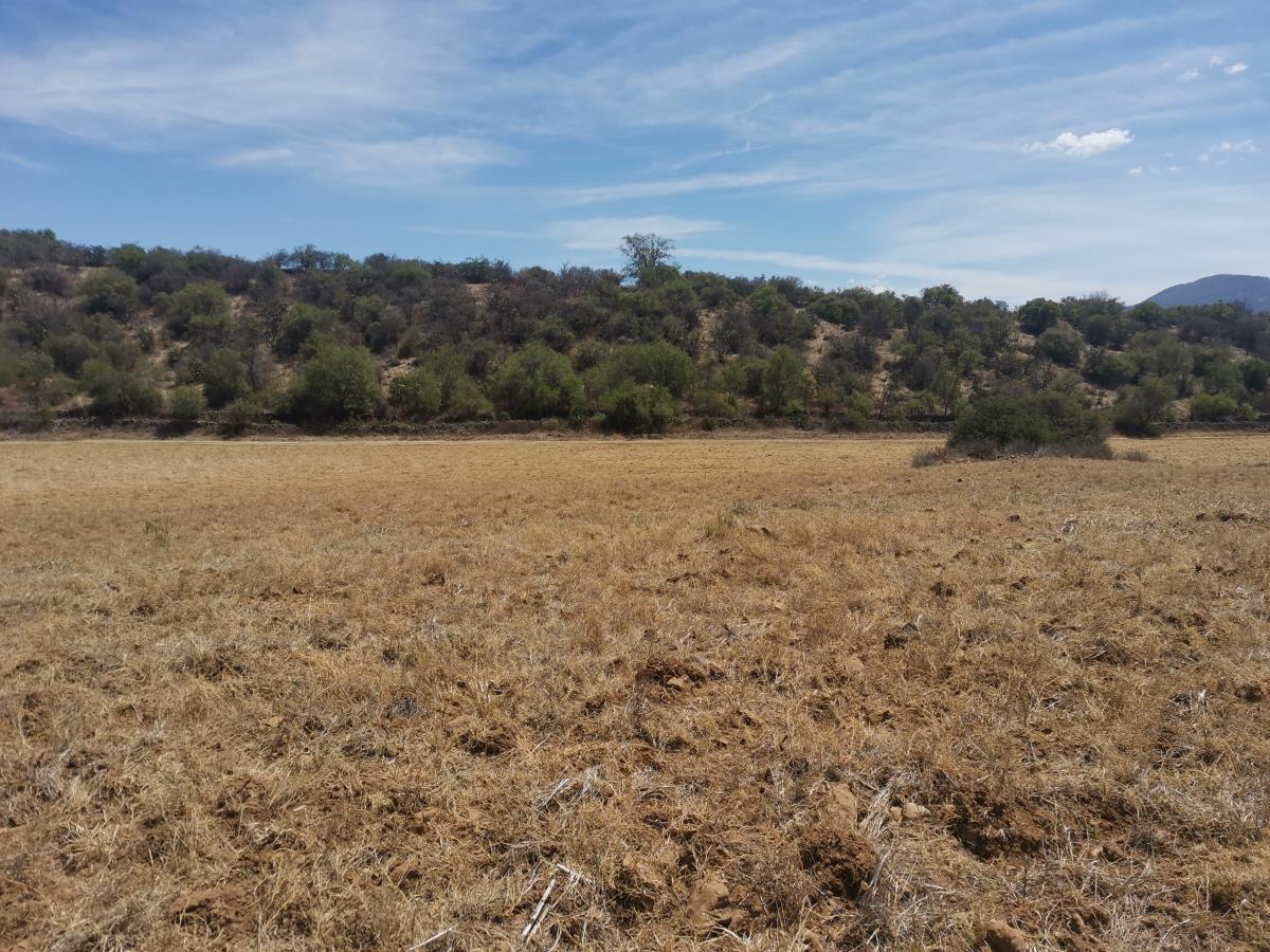 Terreno en Venta en Cuto de la Esperanza