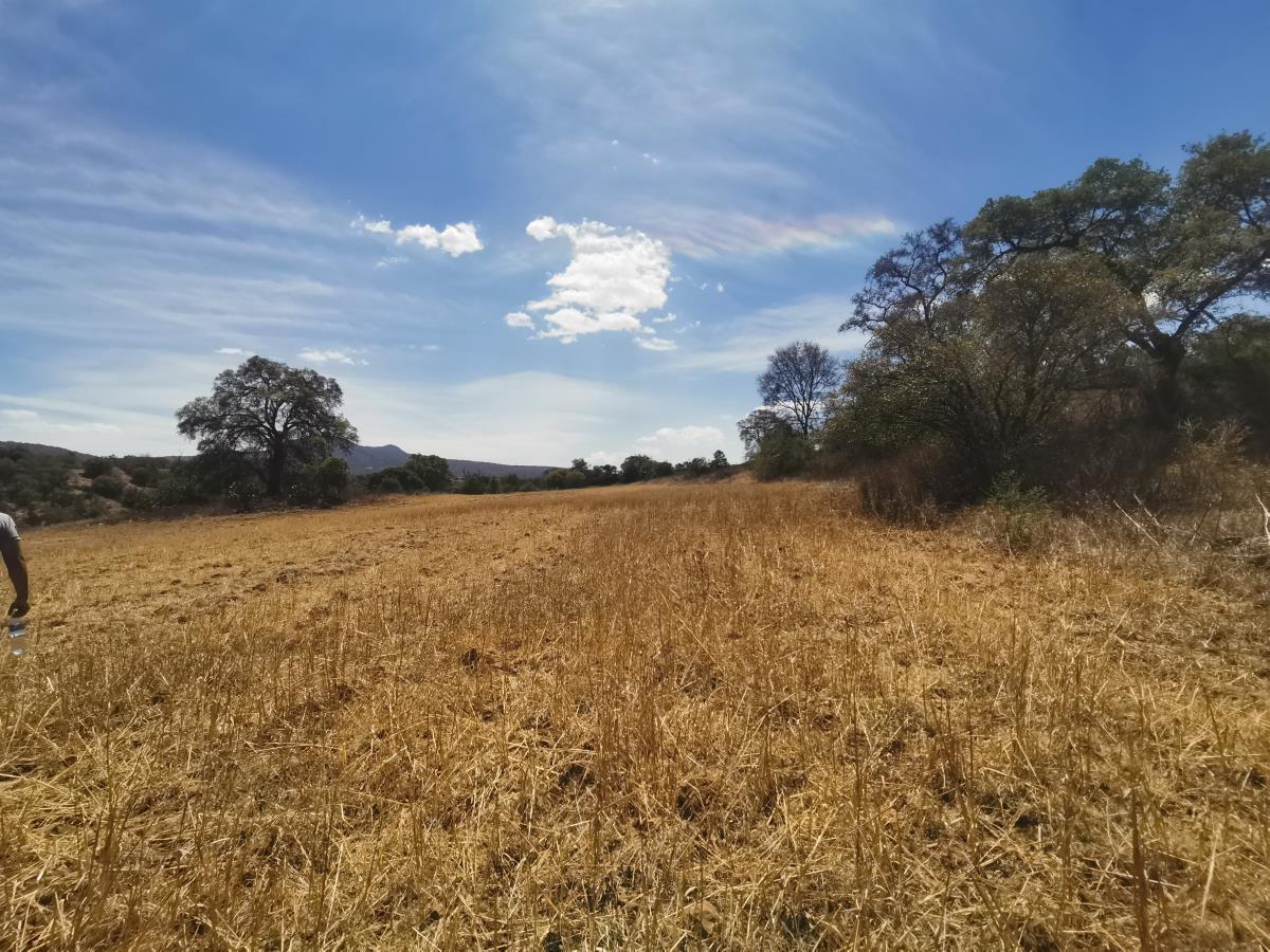Terreno en Venta en Cuto de la Esperanza