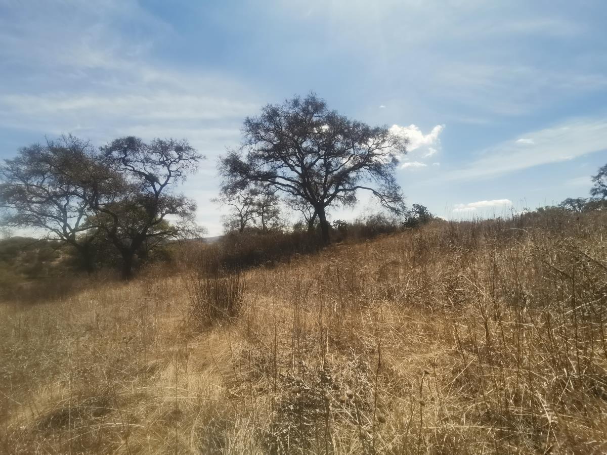 Terreno en Venta en Cuto de la Esperanza