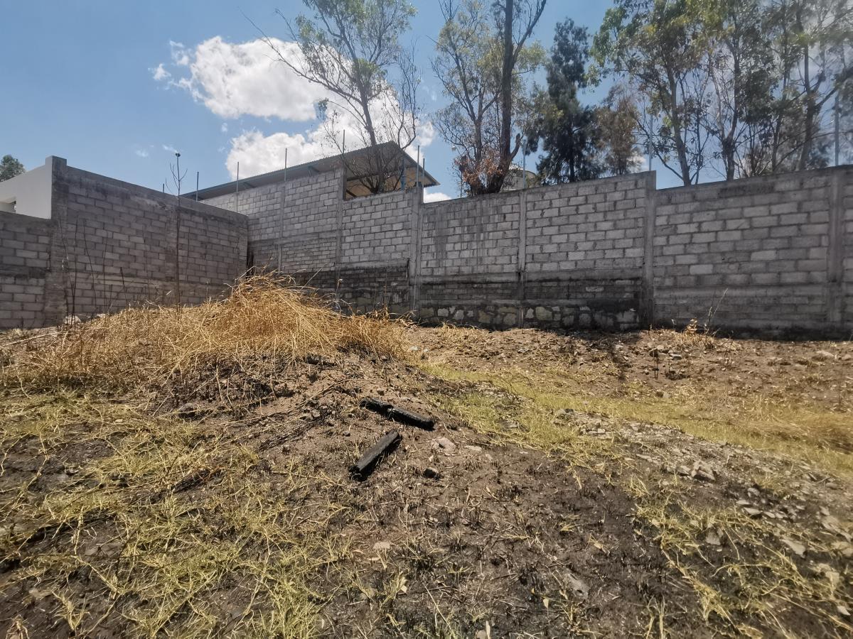 Terreno en Venta enfrente del Fracc. El Trébol