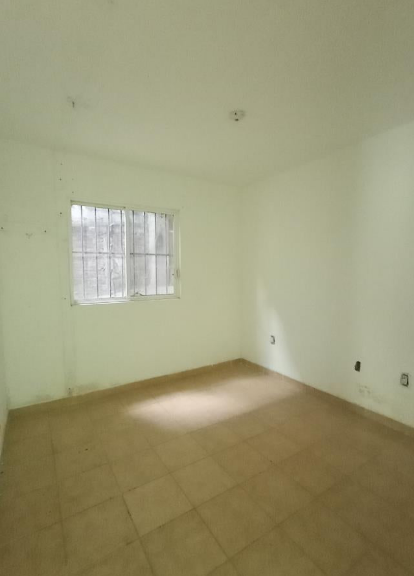 Bodega en Venta en Puerto de Buenavista