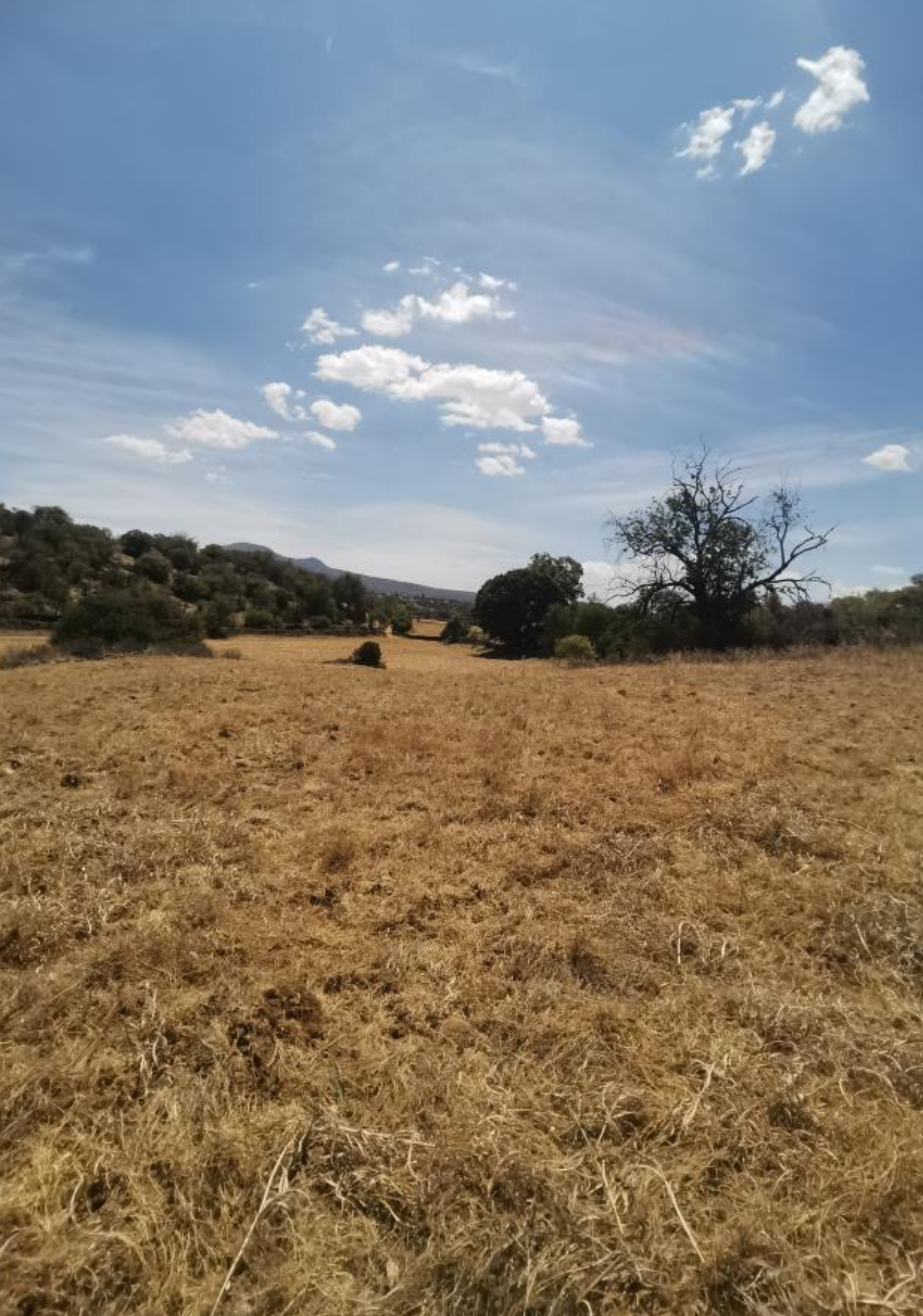 Terreno en Venta en Cuto de la Esperanza