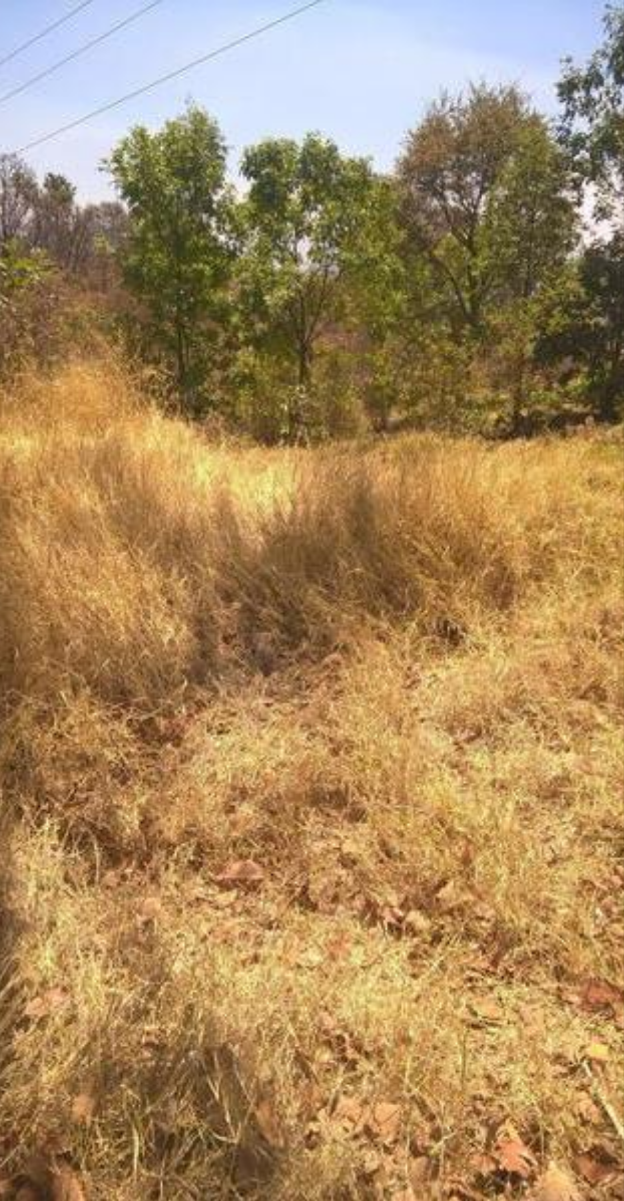 Terreno en Venta en El Temazcal (Charo)