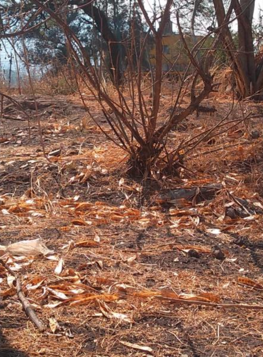 Terreno en Venta en Ampliación La Soledad (Norte)
