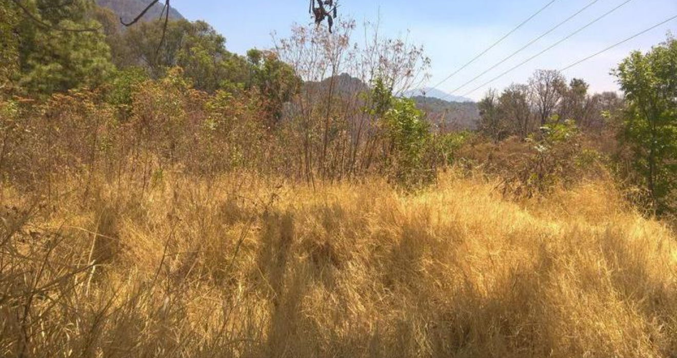 Terreno en Venta en El Temazcal (Charo)