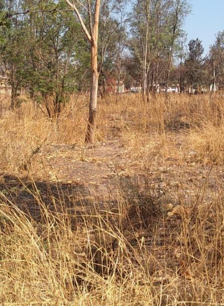 Terreno en Venta en Ampliación La Soledad (Norte)