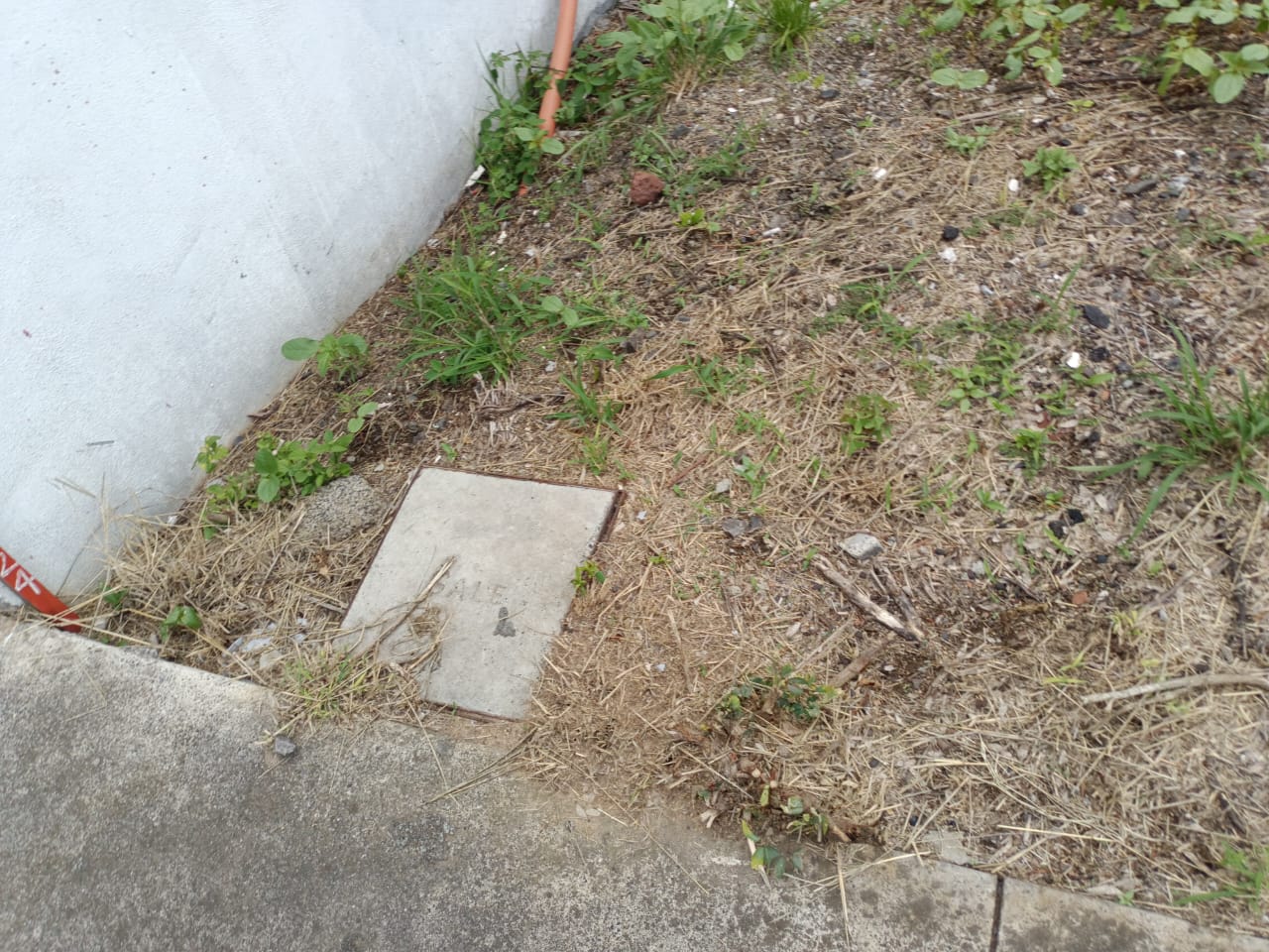 Terreno en Venta en Fracc. Bosques (Tres Marias)