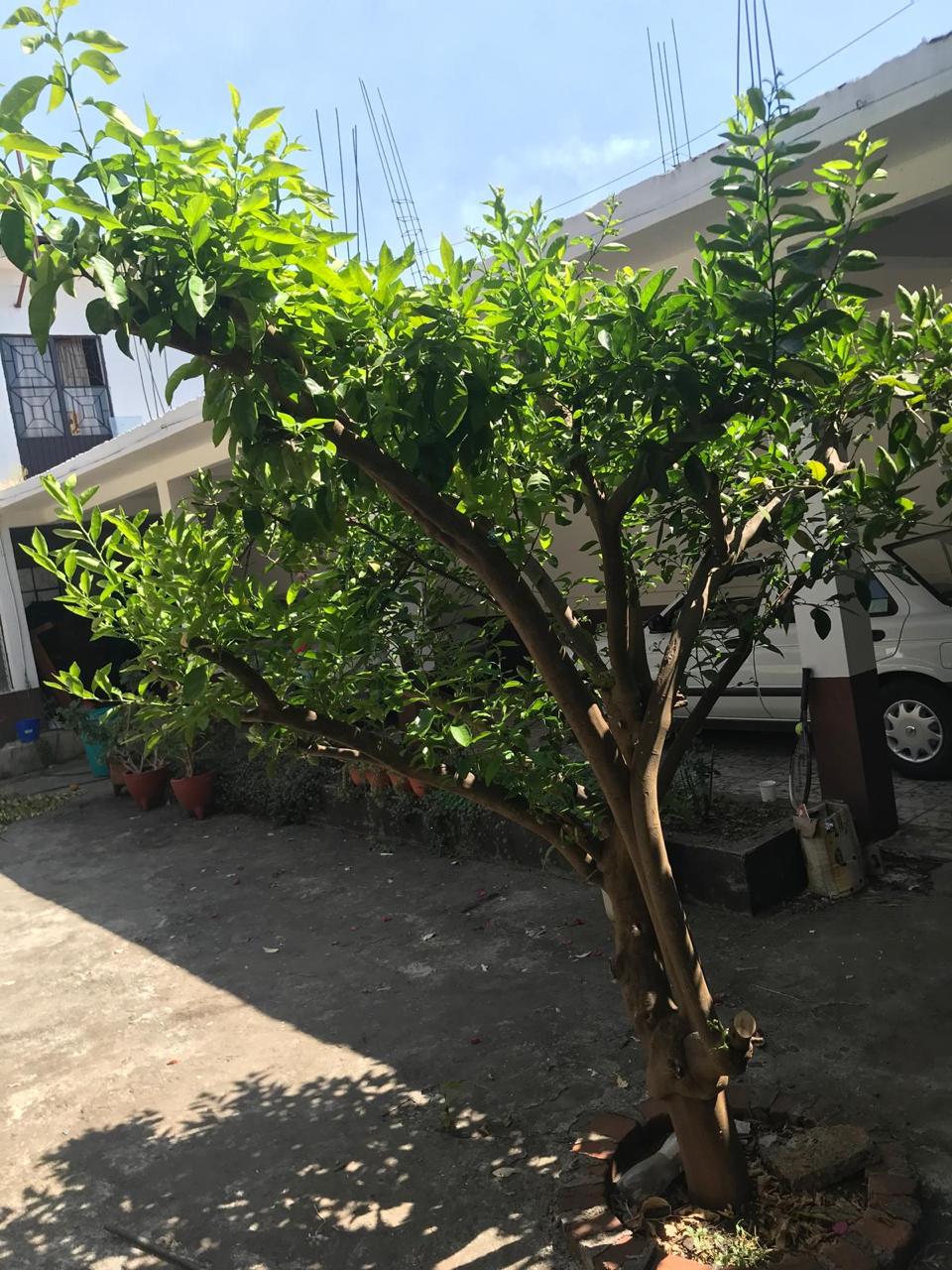 Propiedad Comercial en Venta en El Centro de Pátzcuaro