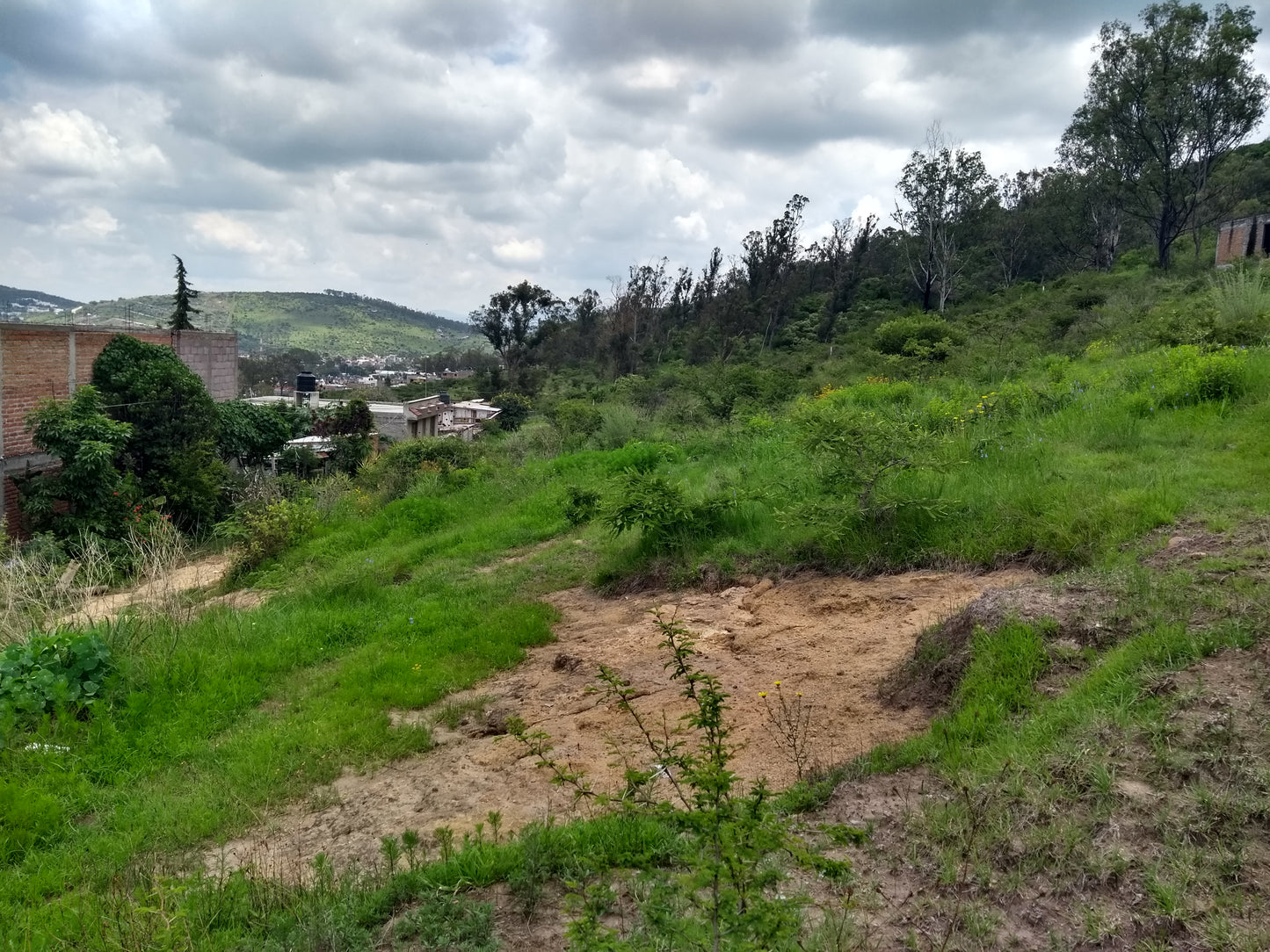 Terreno en Venta al Lado de Puerto de Buena Vista
