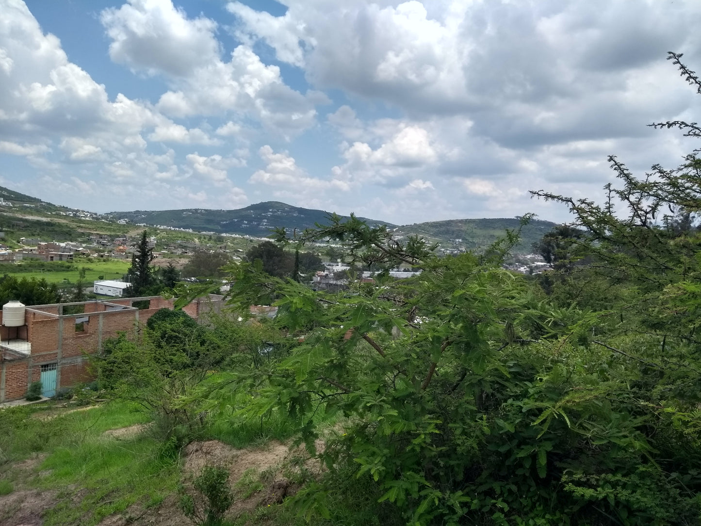 Terreno en Venta al Lado de Puerto de Buena Vista