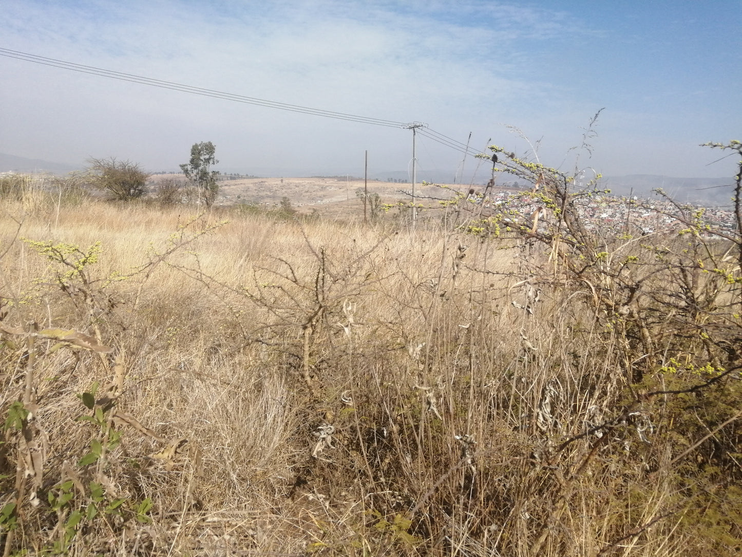 Terreno en Venta en El Trébol