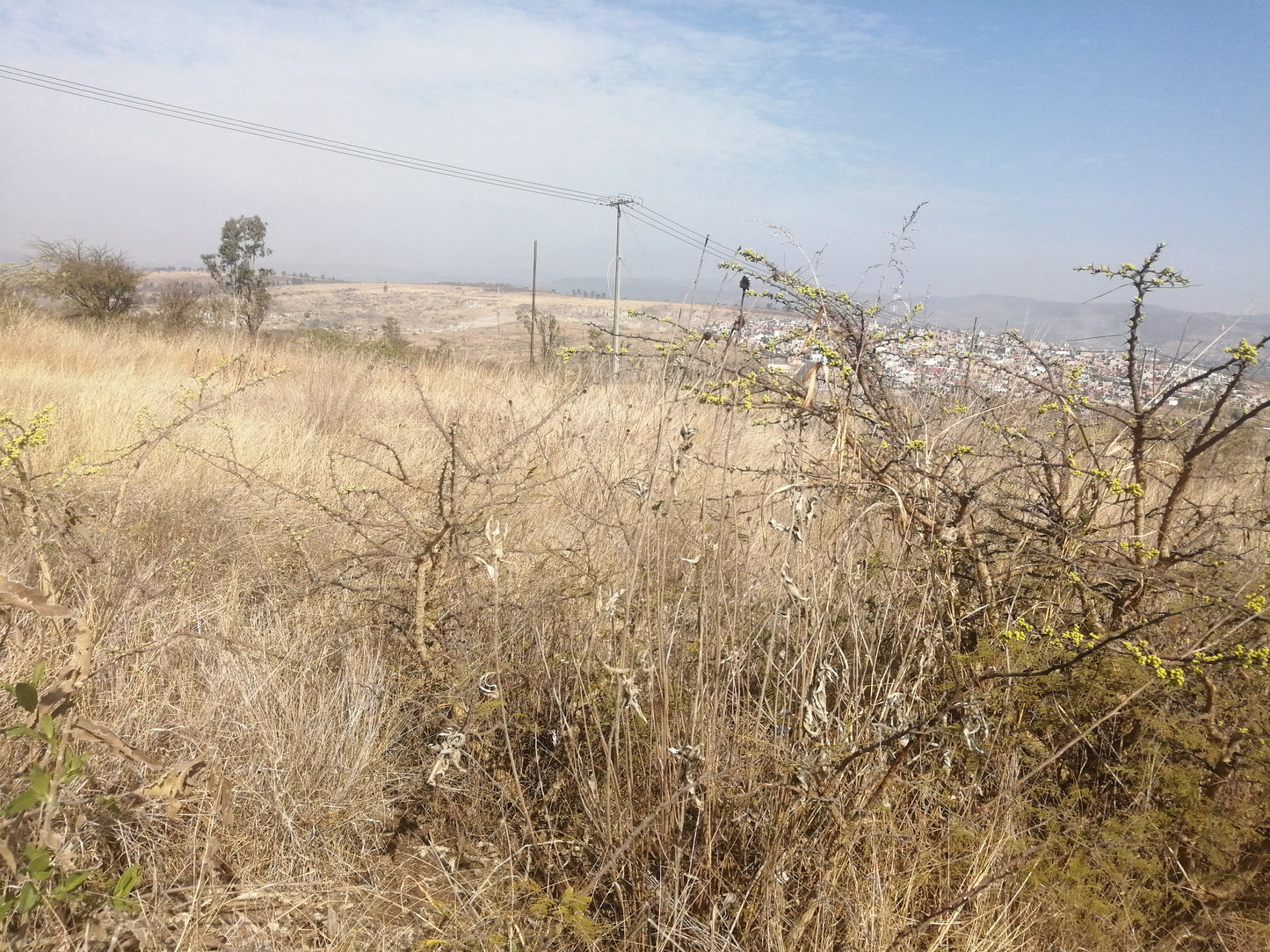 Terreno en Venta en El Trébol
