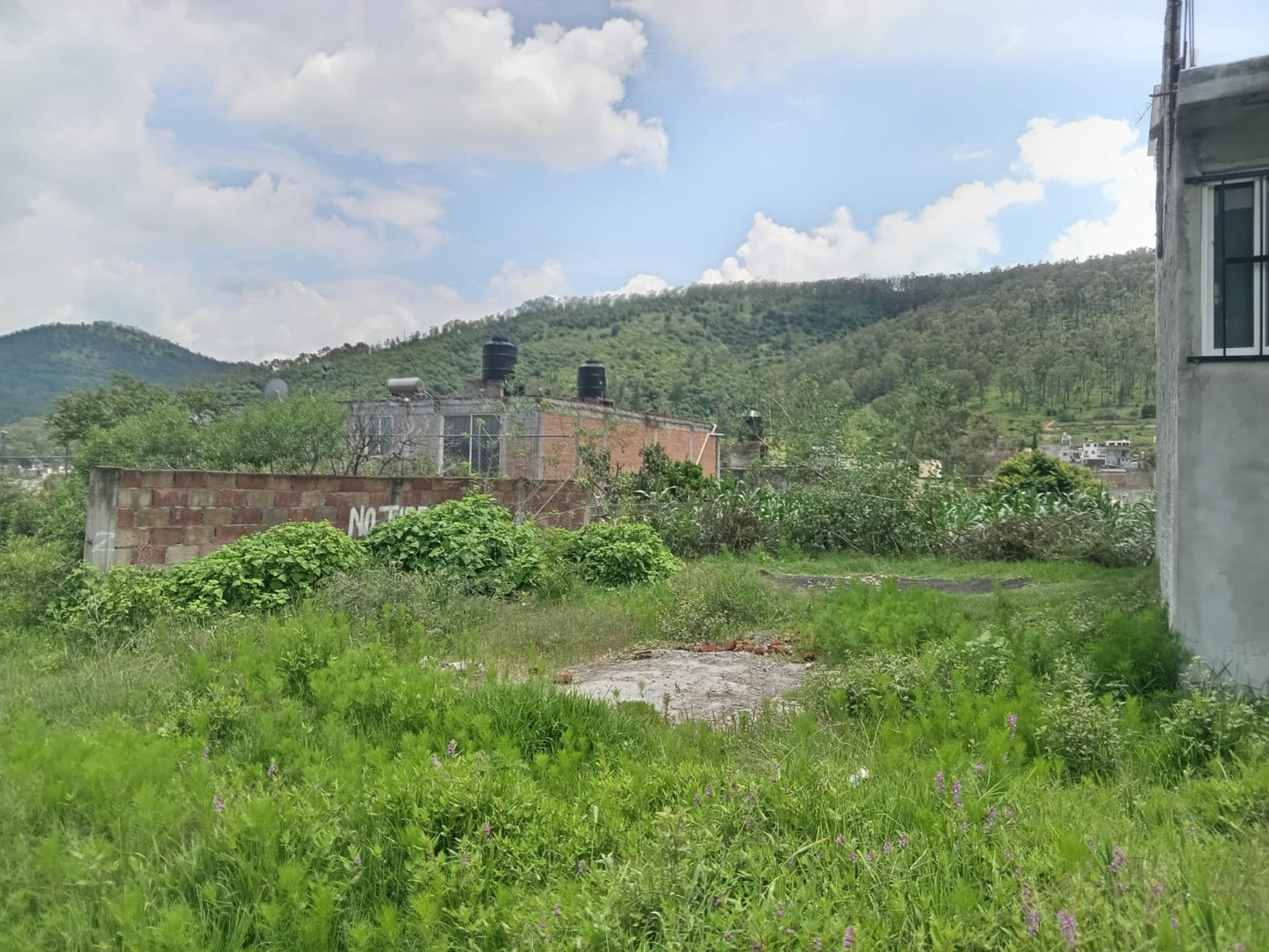 Terreno en Venta en Valle de las Flores