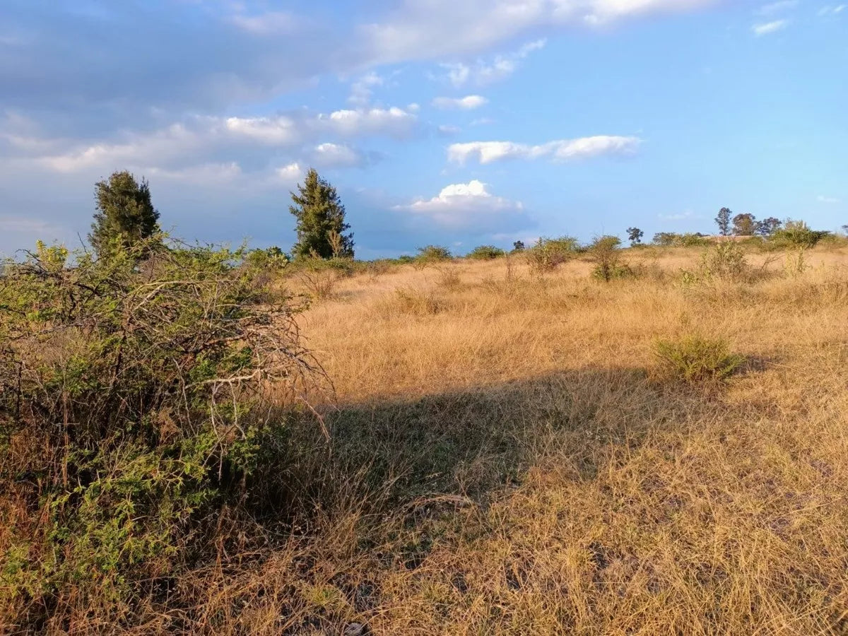 Terrenos en Venta por el Club Campestre Erandeni
