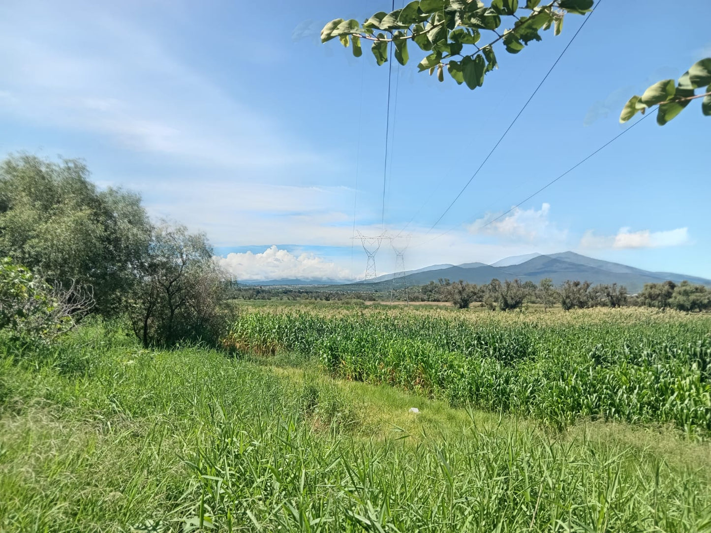 Hectareas en Venta en La Ciénega