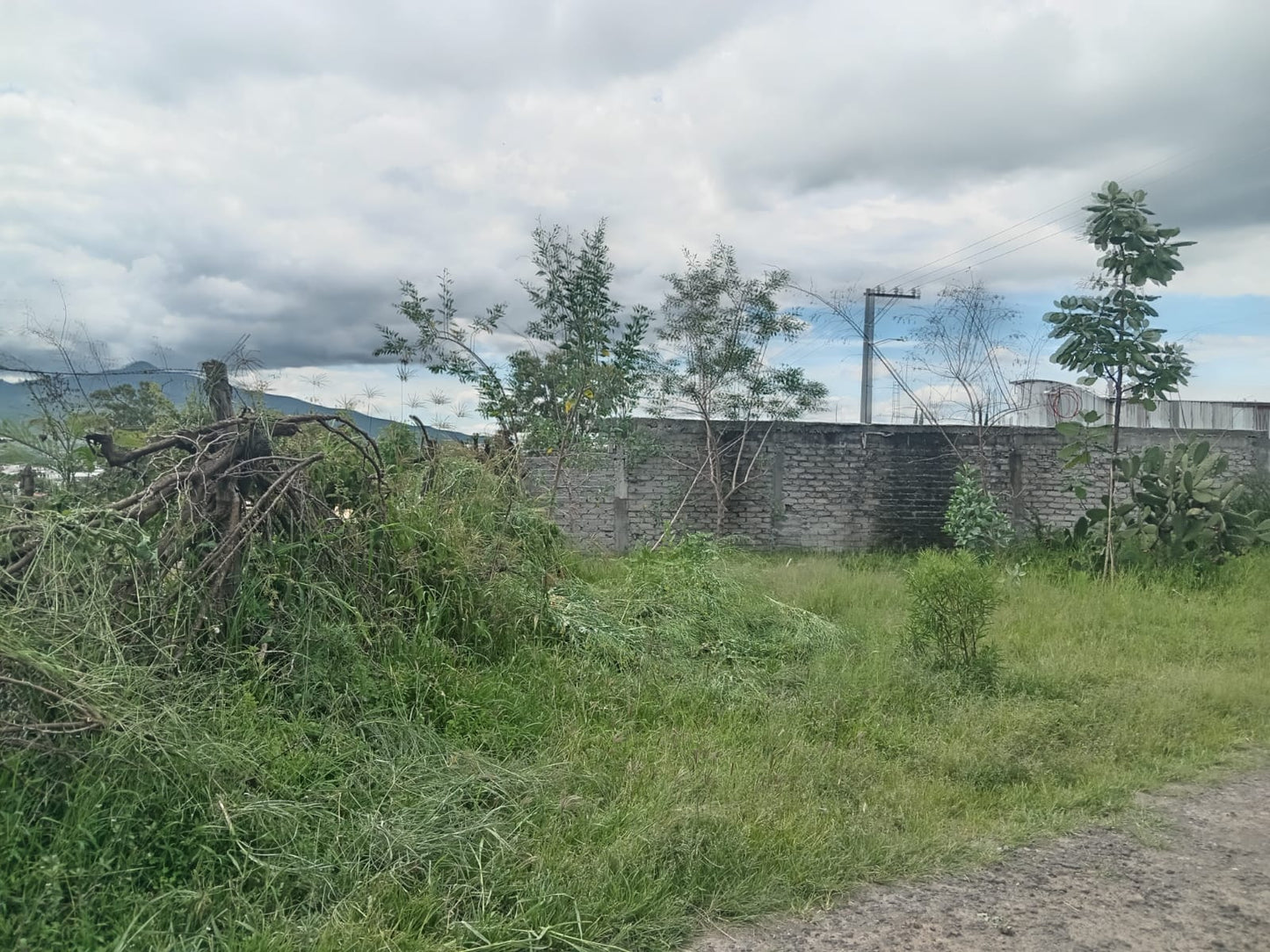 Terrenos en Venta por el Tecnológico Agropecuario