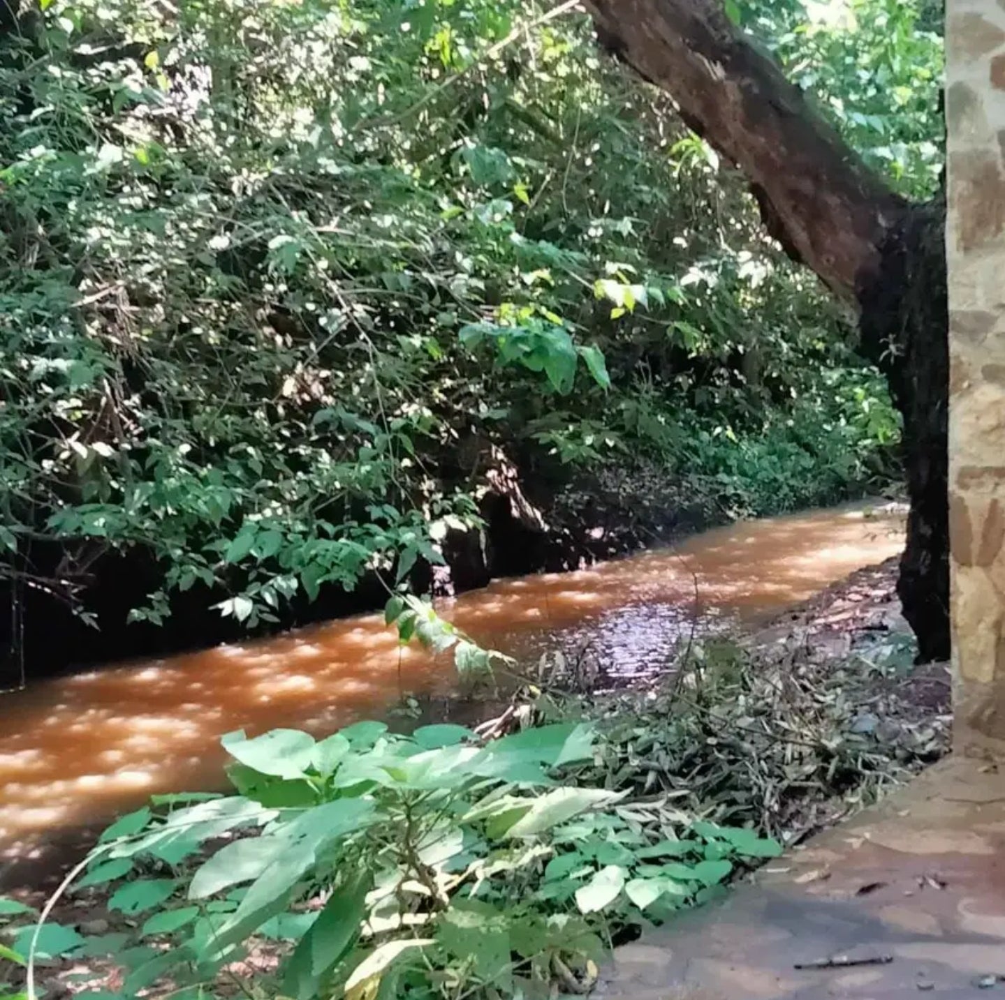 Terreno Ecologico en Fracc. "Río Belo", Zurumbeneo, Michoacán