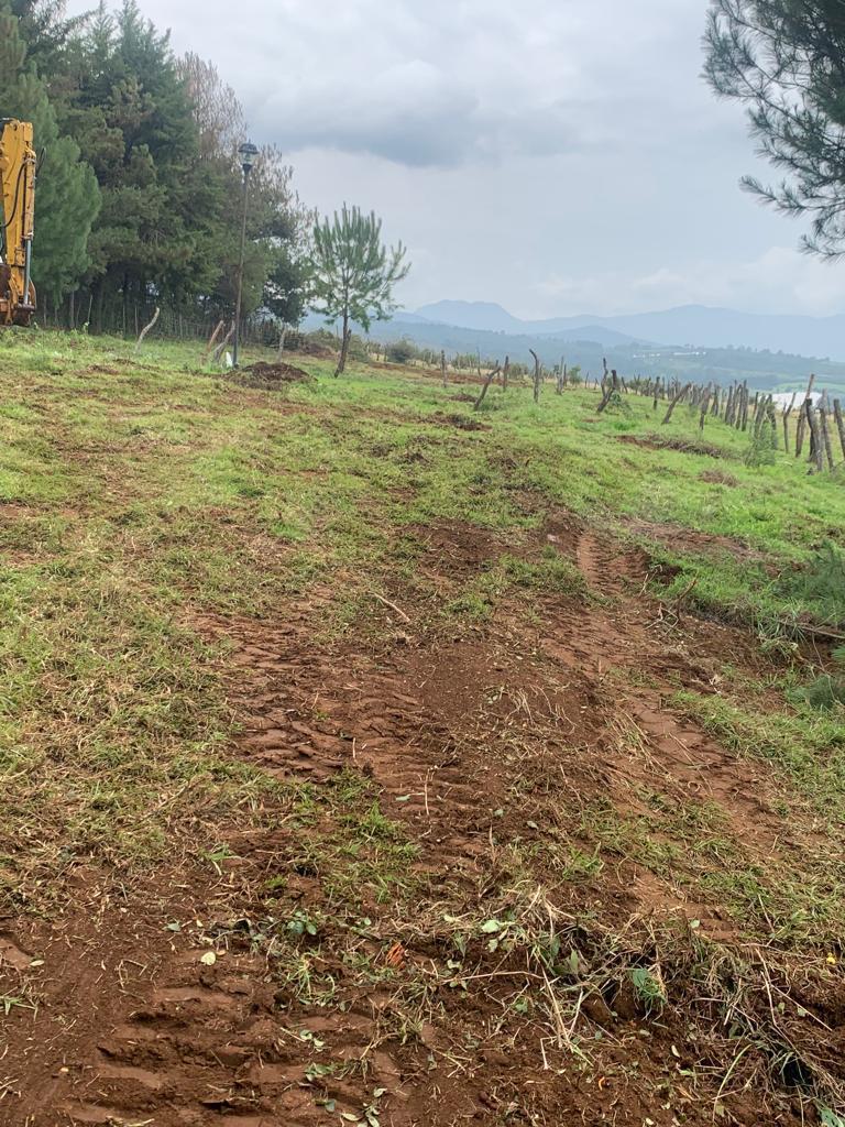 Terreno en Venta con Vista al Lago de Umécuaro