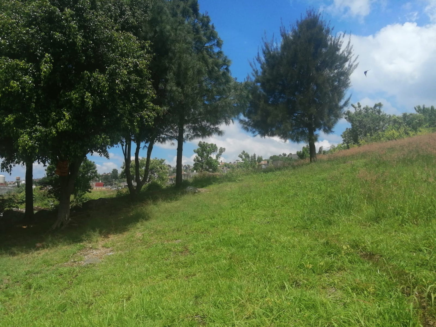 Terreno en Venta en San Isidro Itzicuaro