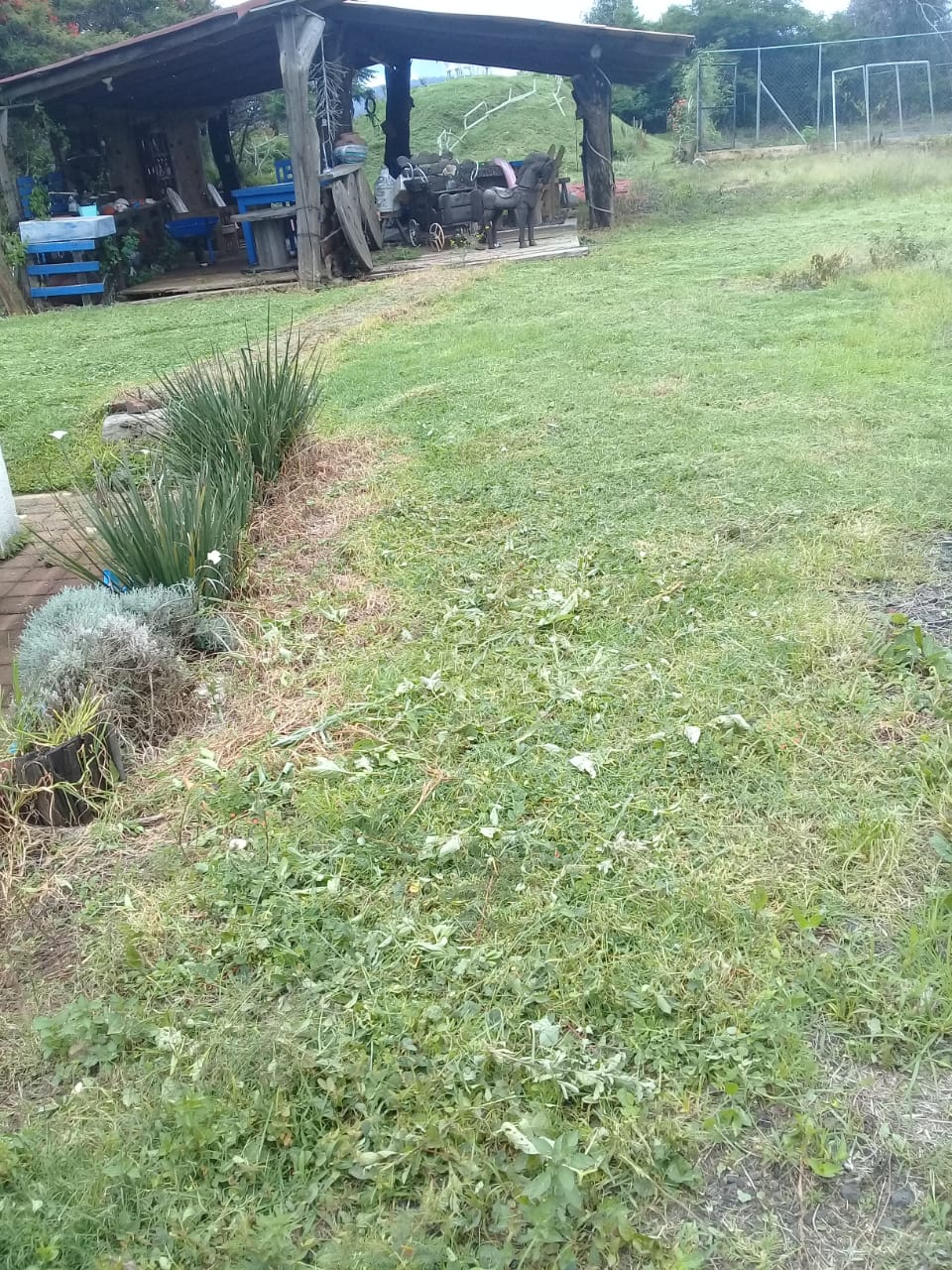 Hectarea con Cabaña en Venta en Las Cañas