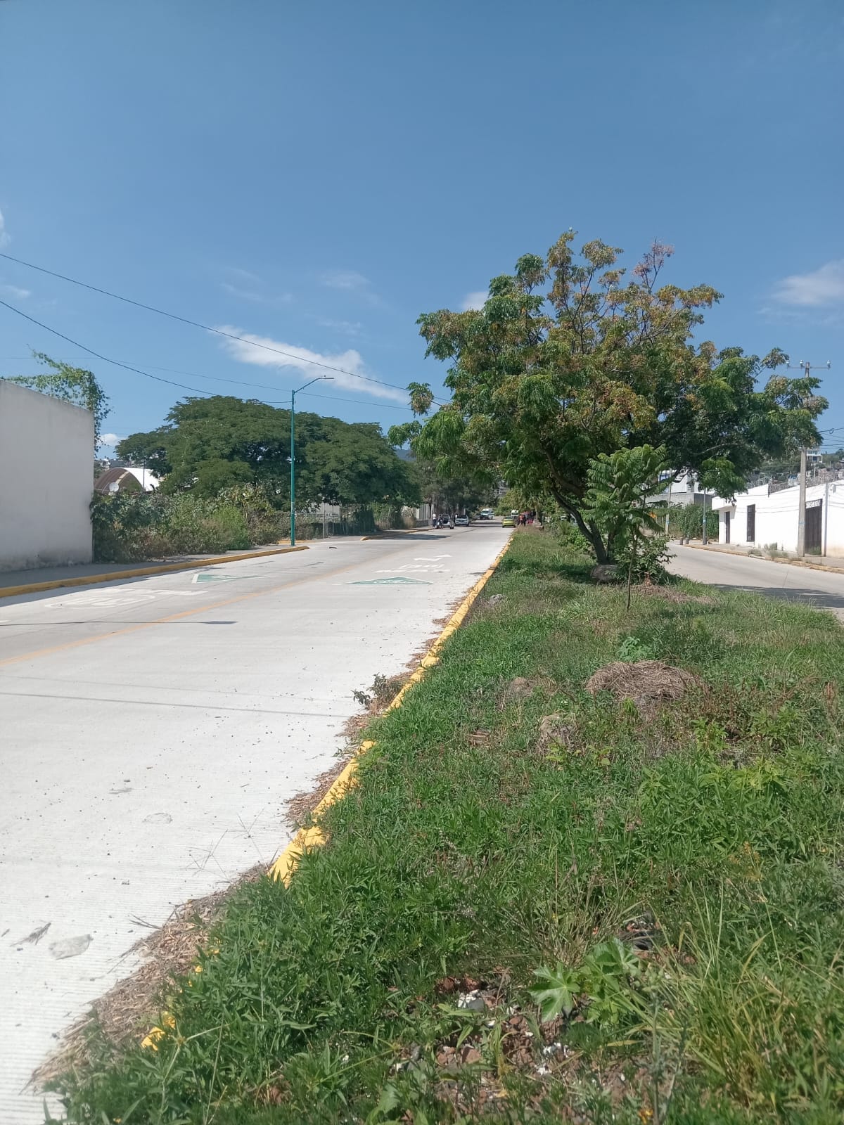 *Terreno en Venta en Reforma