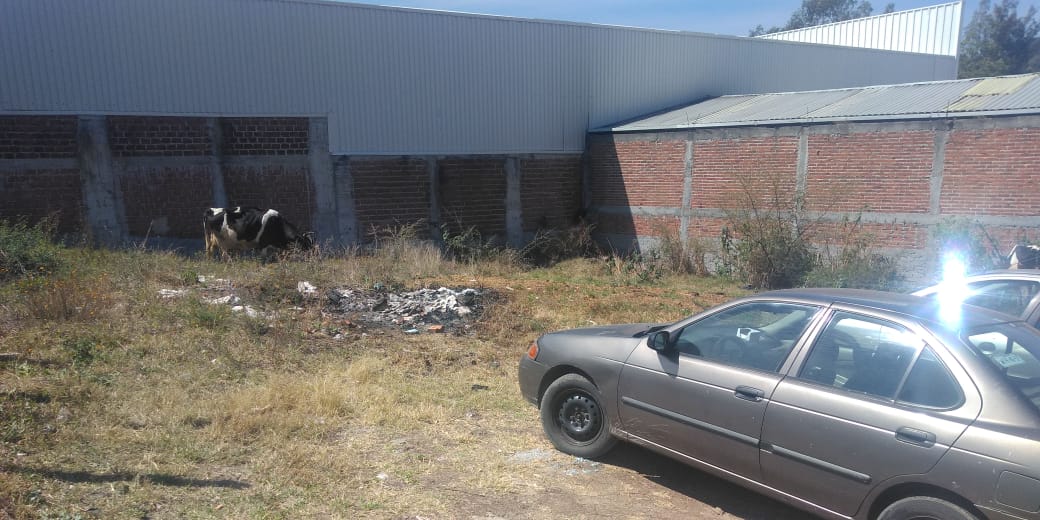 Terreno en Venta en Sal. Charo