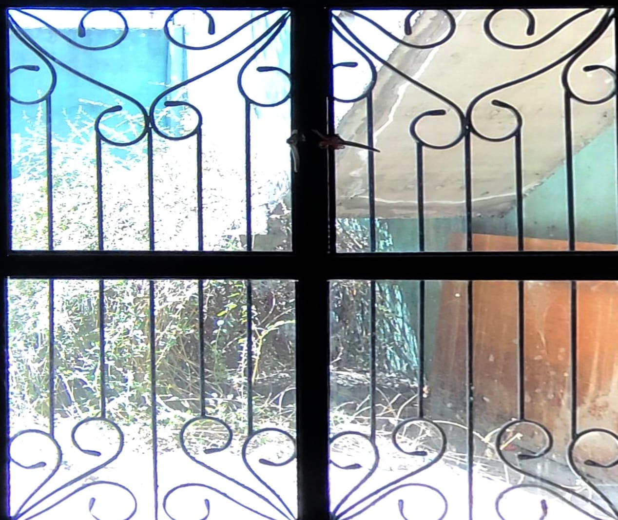 Casa en Venta en la Adolfo López Mateos