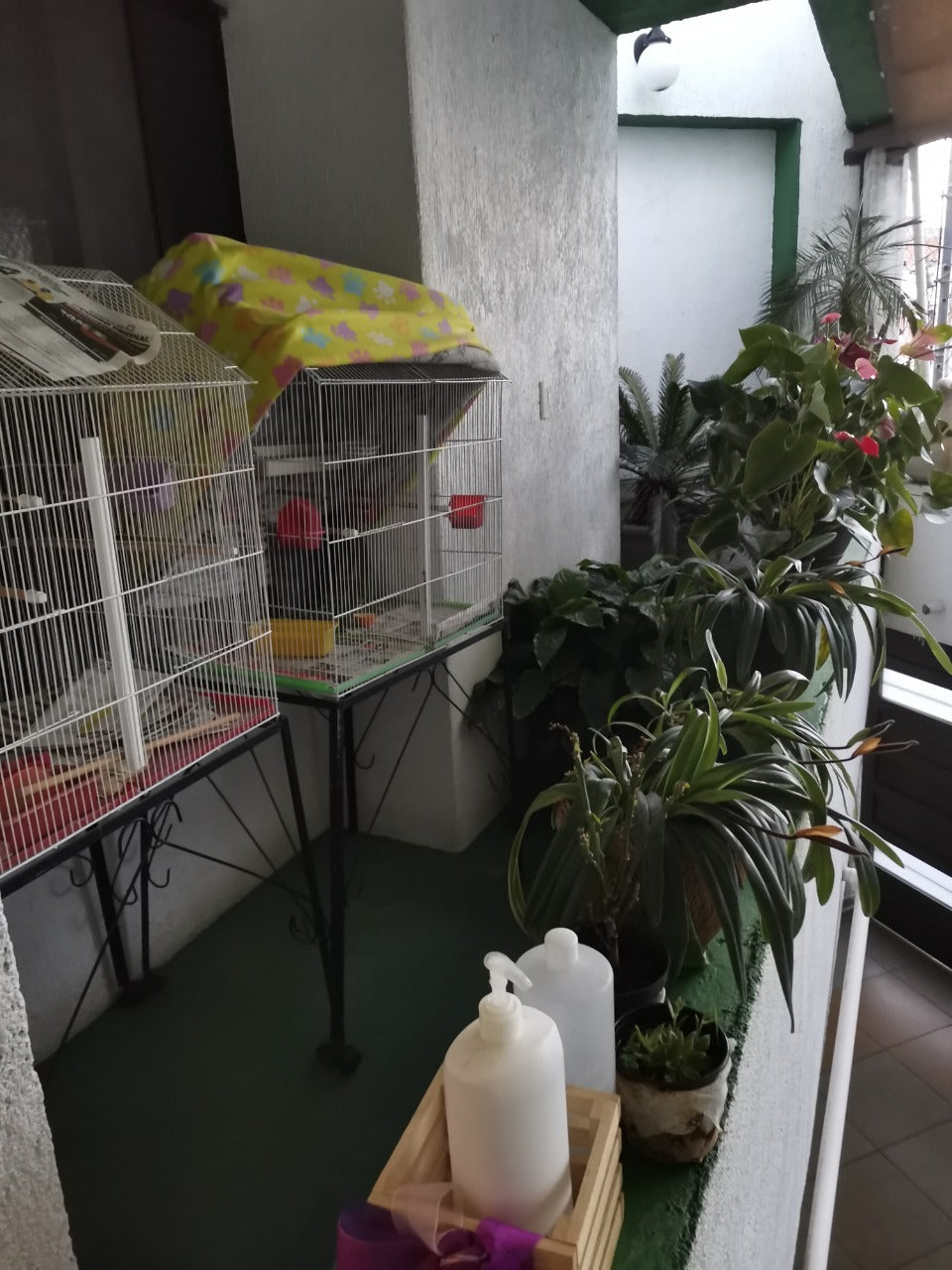 Casa en Venta en Fracc. Bosques Camelinas