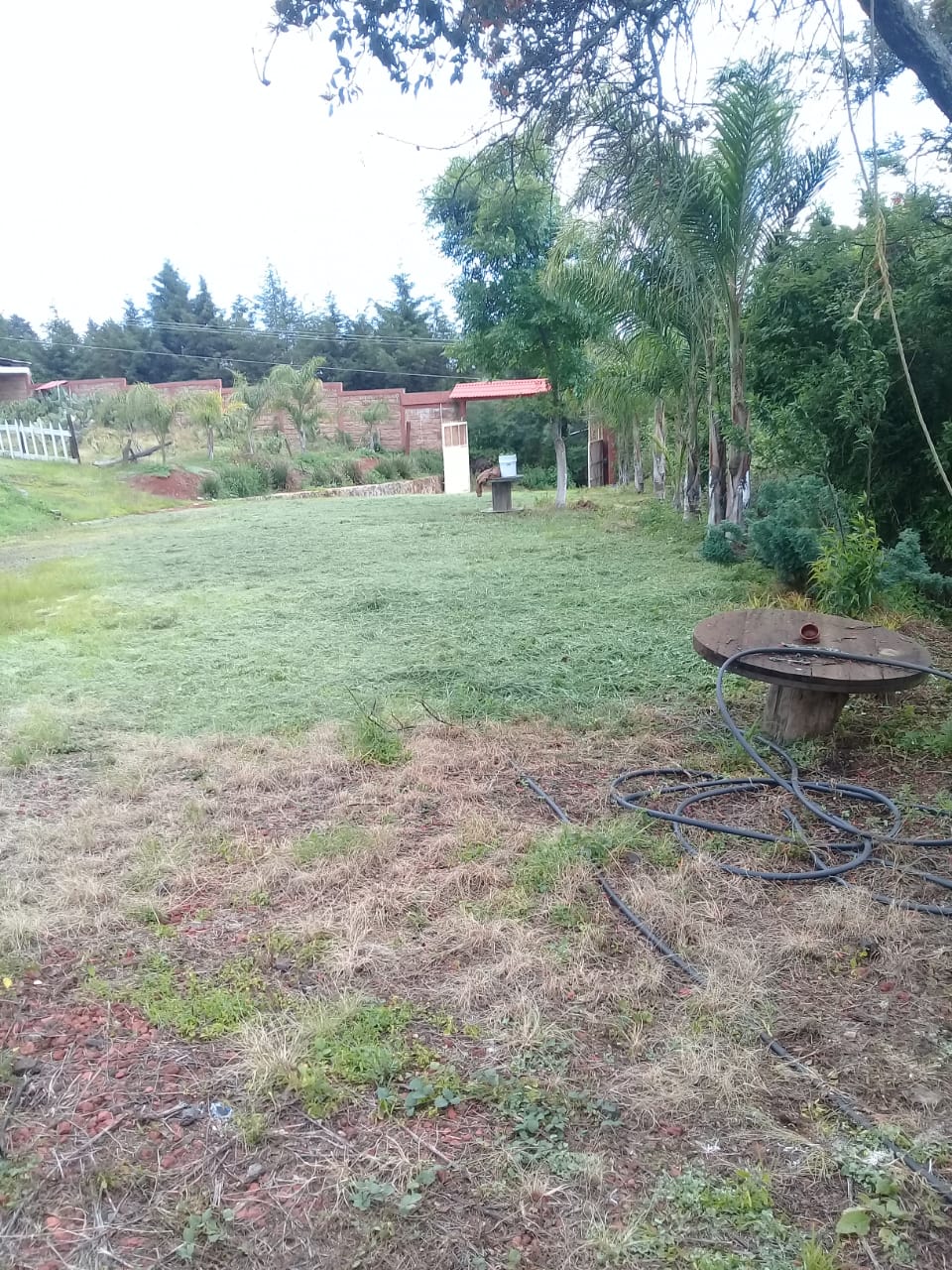 Hectarea con Cabaña en Venta en Las Cañas