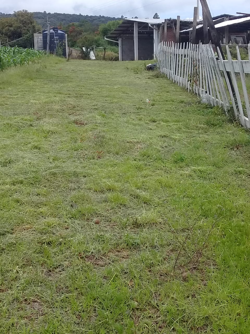 Hectarea con Cabaña en Venta en Las Cañas