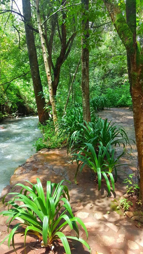 Terreno Ecológico en Fracc. "Río Belo", Zurumbeneo, Michoacán