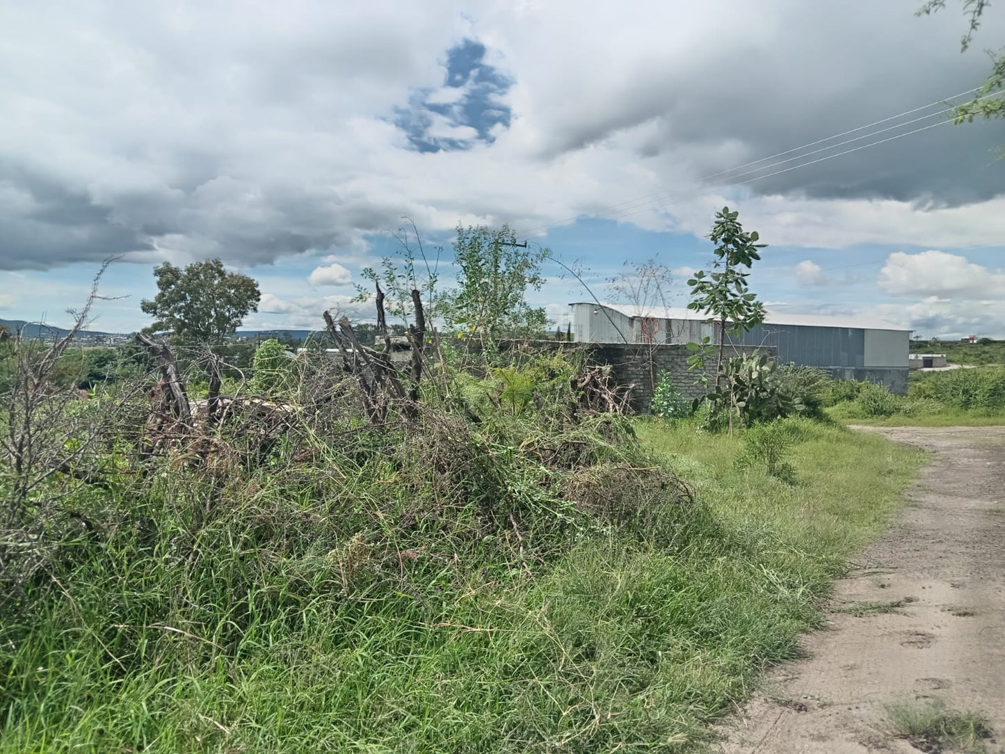 Terrenos en Venta por el Tecnológico Agropecuario