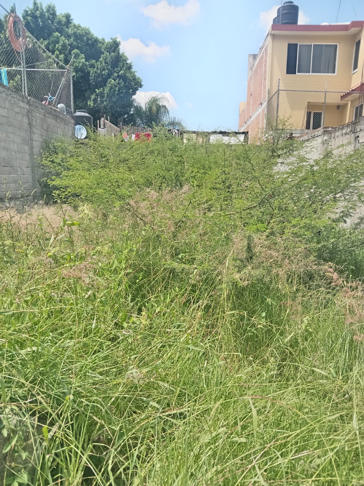 Terreno en Venta Lombardo Toledano