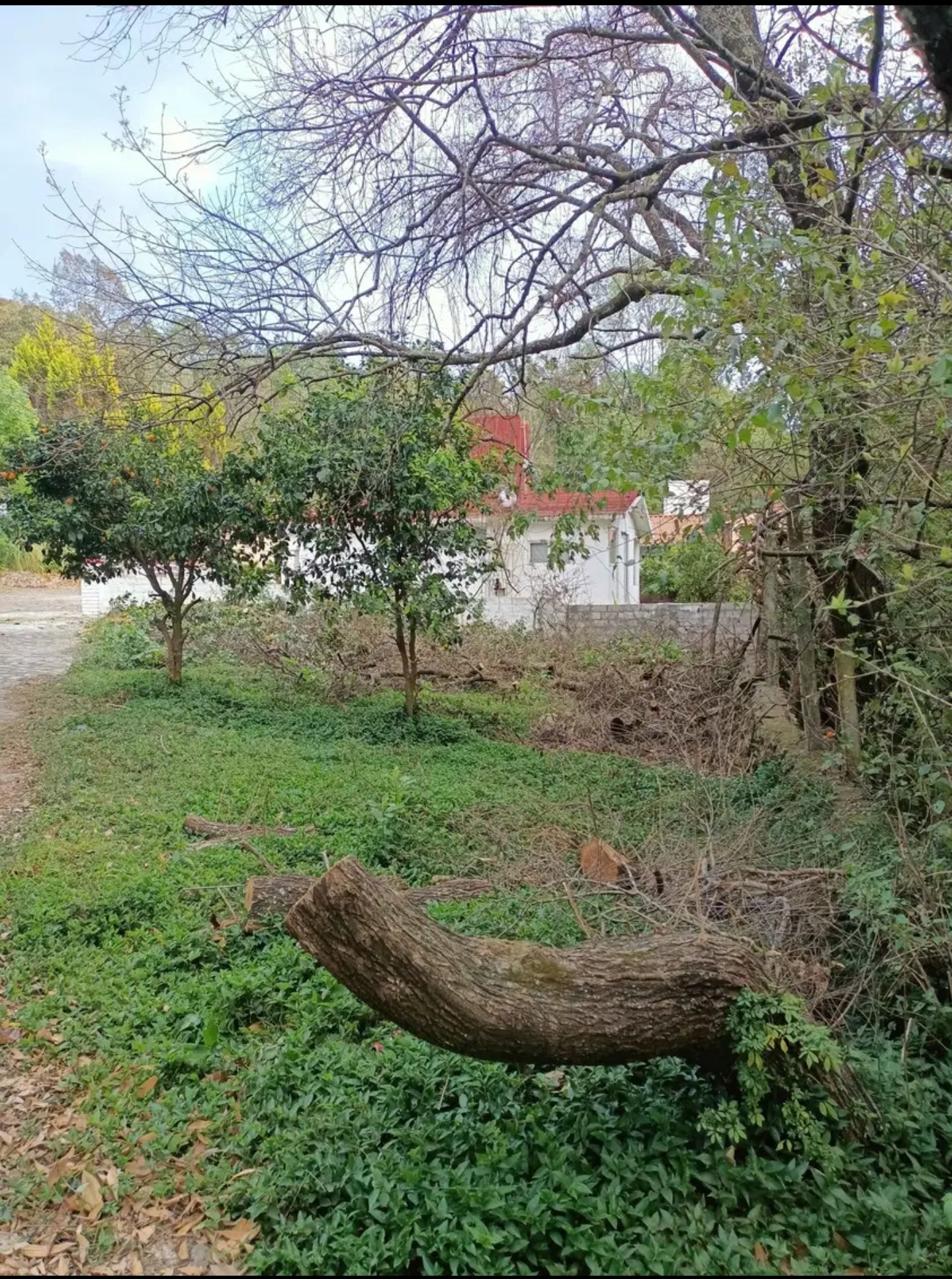 Terreno Ecologico en Fracc. "Río Belo", Zurumbeneo, Michoacán