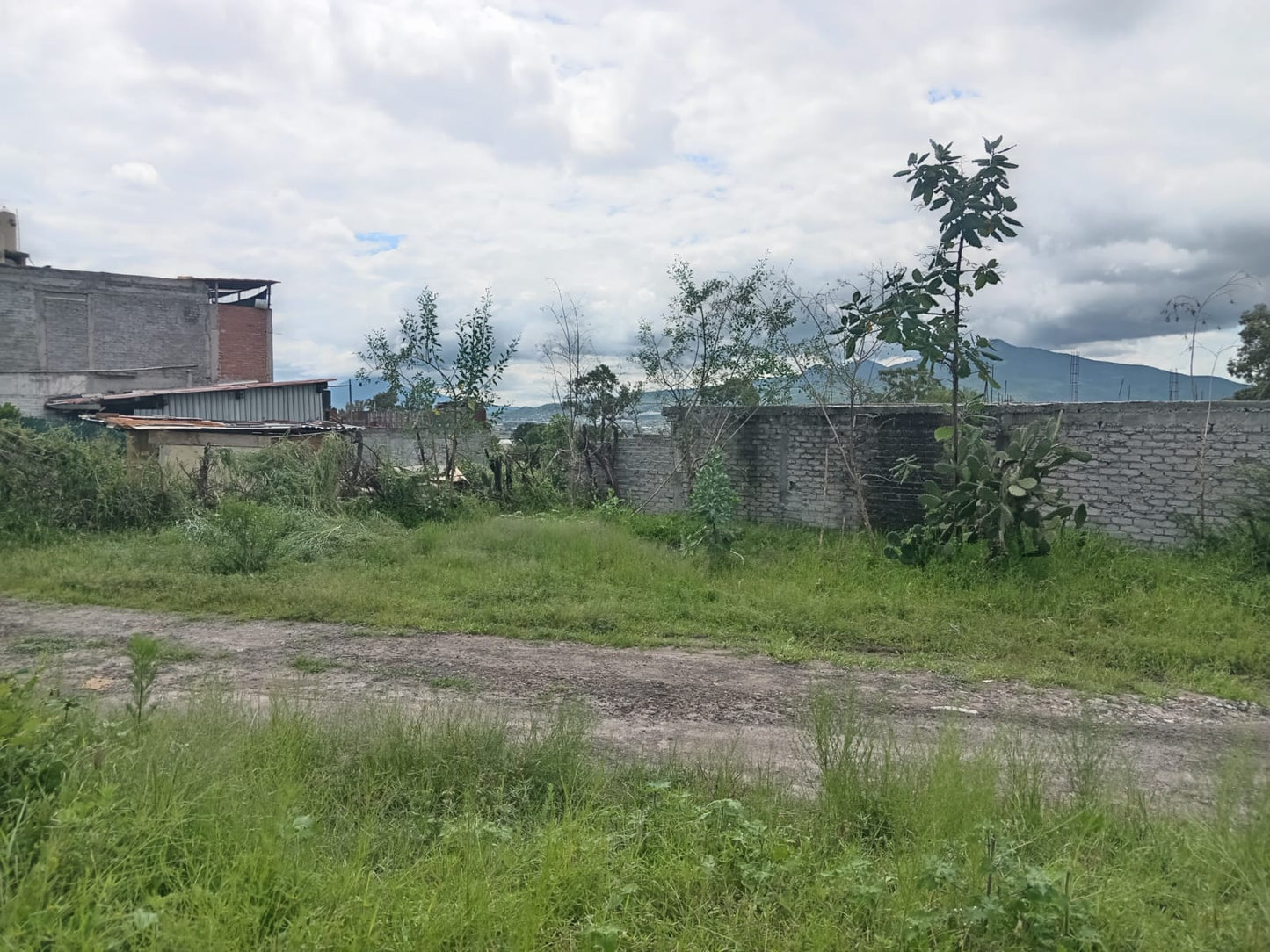 Terrenos en Venta por el Tecnológico Agropecuario