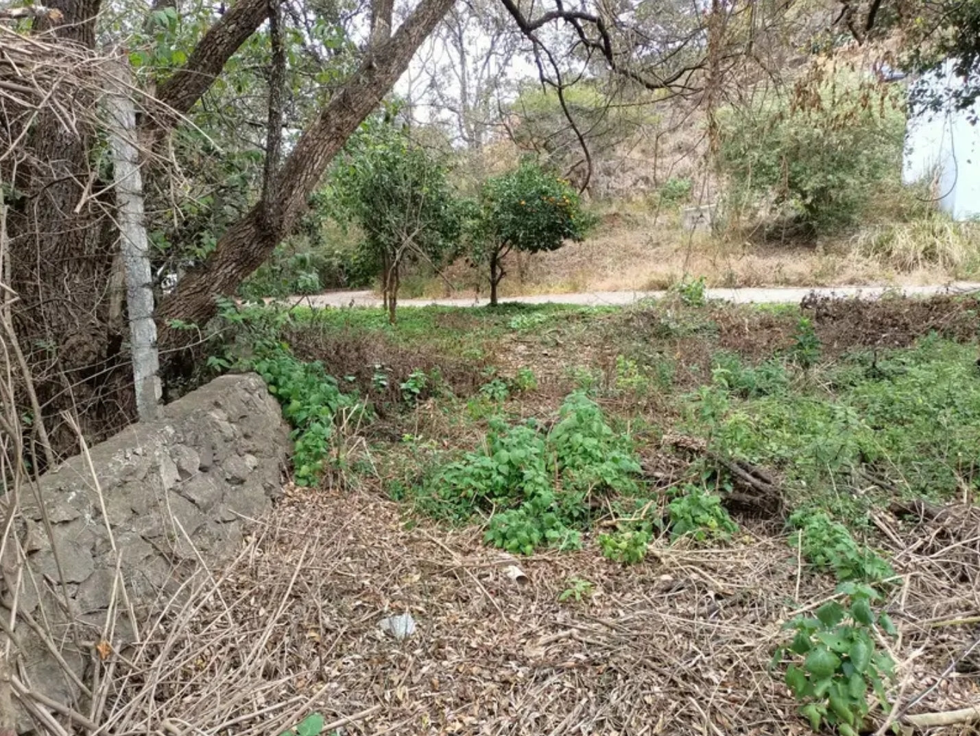 Terreno Ecologico en Fracc. "Río Belo", Zurumbeneo, Michoacán