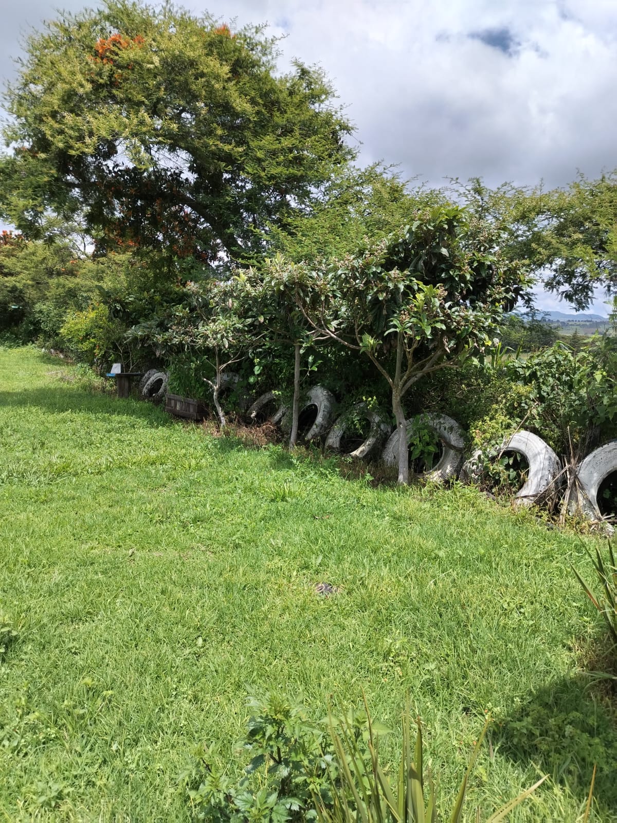 Terreno en Venta con Vista al Lago de Umécuaro